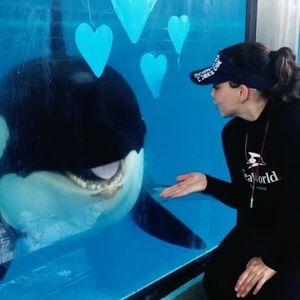 Meet your Posher, Kylan